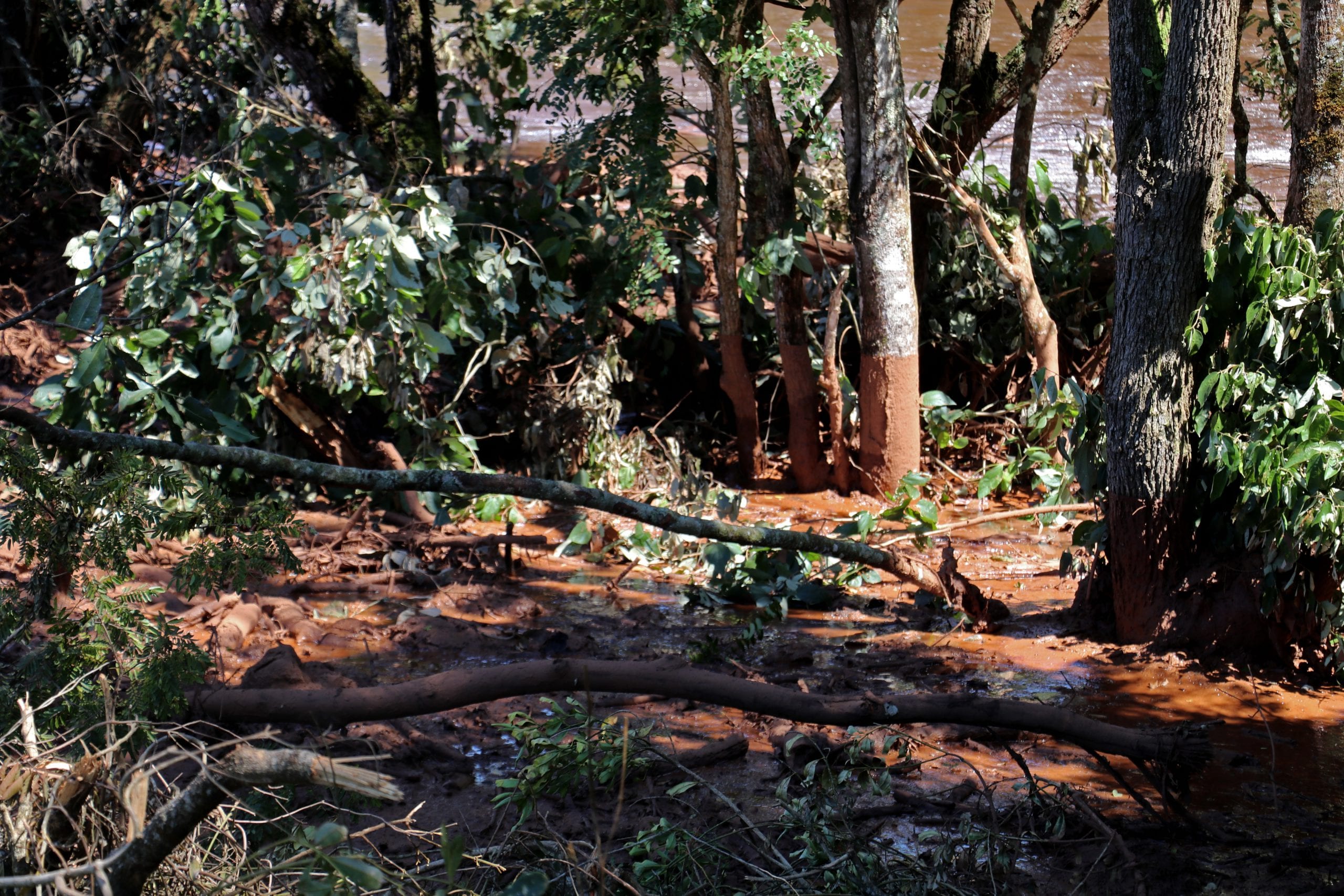 Brumadinho Leia Um Relato De Quem Viu De Perto A Trag Dia